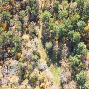 Photo #14 of 5509,5505,5505zz, 5509zz, DRAKE, Greensboro, NC 20.3 acres