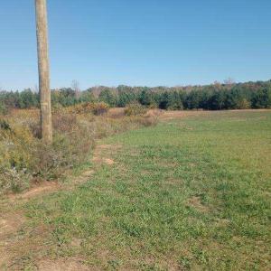 Photo #2 of TBD Paschal, Yanceyville, NC 4.2 acres