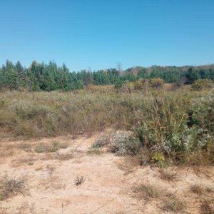 Photo #1 of TBD Paschal, Yanceyville, NC 4.2 acres