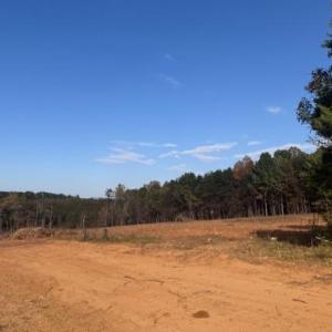 Photo #1 of 0 Off Newsome, King, NC 1.5 acres