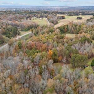 Photo #6 of 31.51 Bald Hill Loop, Madison, NC 31.5 acres