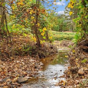 Photo #16 of 31.51 Bald Hill Loop, Madison, NC 31.5 acres