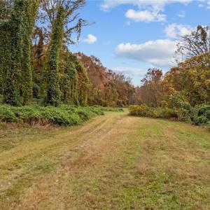 Photo #14 of 31.51 Bald Hill Loop, Madison, NC 31.5 acres