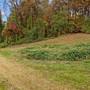 Photo #11 of 31.51 Bald Hill Loop, Madison, NC 31.5 acres