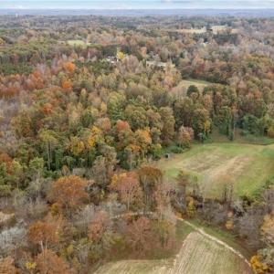 Photo #4 of 31.51 Bald Hill Loop, Madison, NC 31.5 acres