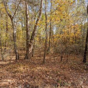 Photo #2 of Jay Dee, Winston-Salem, NC 7.1 acres