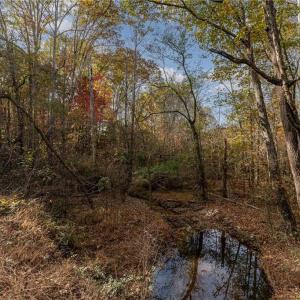 Photo #10 of Jay Dee, Winston-Salem, NC 7.1 acres