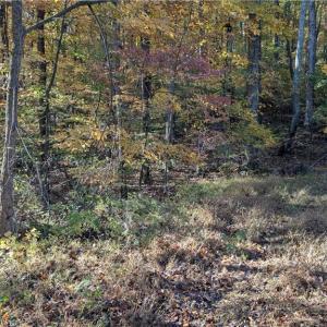 Photo #18 of Jay Dee, Winston-Salem, NC 7.1 acres