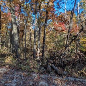 Photo #4 of Jay Dee, Winston-Salem, NC 7.1 acres