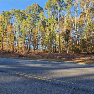 Photo #3 of 1408 1410 Westchester, High Point, NC 3.5 acres