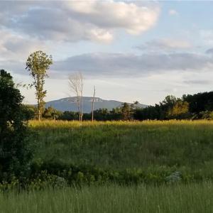 Photo #2 of NC Highway 89, Francisco, NC 11.7 acres