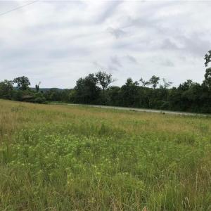 Photo #6 of NC Highway 89, Francisco, NC 11.7 acres