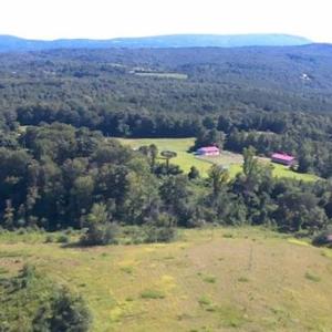 Photo #3 of NC Highway 89, Francisco, NC 11.7 acres