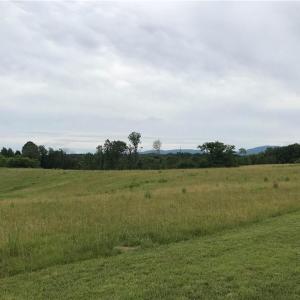 Photo #1 of NC Highway 89, Francisco, NC 11.7 acres