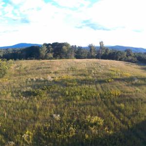 Photo #5 of NC Highway 89, Francisco, NC 11.7 acres