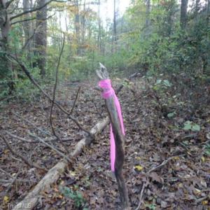 Photo #3 of 187 Caravan, Mocksville, NC 1.0 acres