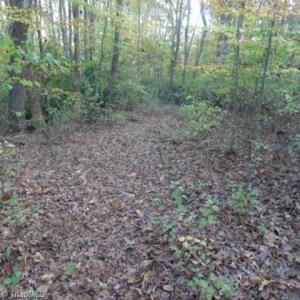 Photo #1 of 187 Caravan, Mocksville, NC 1.0 acres