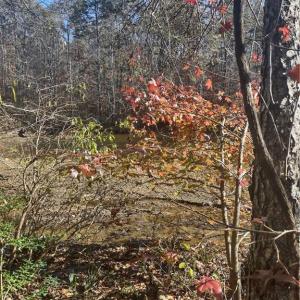 Photo #2 of Portion of 1790 Mallard Lakes, Winston-Salem, NC 1.0 acres