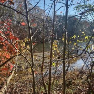 Photo #3 of Portion of 1790 Mallard Lakes, Winston-Salem, NC 1.0 acres