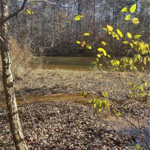 Photo #1 of Portion of 1790 Mallard Lakes, Winston-Salem, NC 1.0 acres
