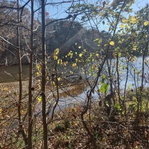 Photo #4 of Portion of 1790 Mallard Lakes, Winston-Salem, NC 1.0 acres
