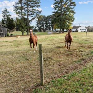 Photo #4 of 0-B US Highway 311, Archdale, NC 1.2 acres