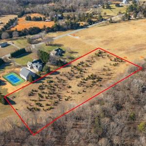 Proposed lot #7