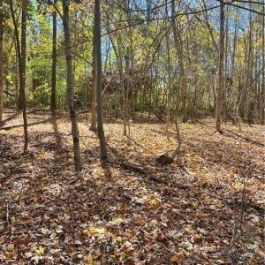 Photo #2 of 2713 Brame, Greensboro, NC 1.5 acres