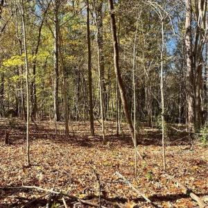 Photo #3 of 2713 Brame, Greensboro, NC 1.5 acres