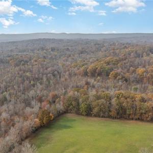 Photo #13 of 6159 Hideaway, Trinity, NC 58.7 acres