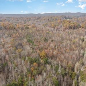 Photo #9 of 6159 Hideaway, Trinity, NC 58.7 acres