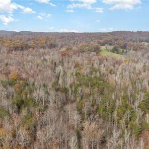 Photo #10 of 6159 Hideaway, Trinity, NC 58.7 acres
