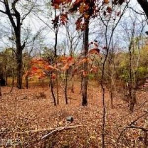 Photo #6 of 338 River Pines, Clemmons, NC 3.5 acres