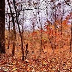 Photo #5 of 338 River Pines, Clemmons, NC 3.5 acres