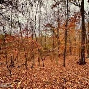 Photo #11 of 338 River Pines, Clemmons, NC 3.5 acres