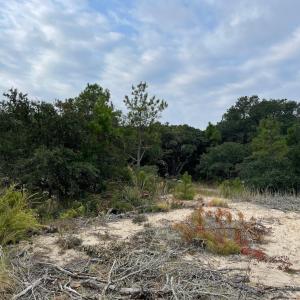 Photo #18 of Hilltop Road, Corolla, NC