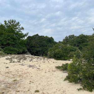 Photo #20 of Hilltop Road, Corolla, NC