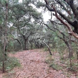 Photo #6 of Hilltop Road, Corolla, NC