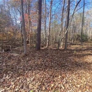 Photo #6 of 6427 Piney, Gibsonville, NC 2.1 acres