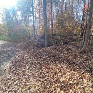 Photo #8 of 6427 Piney, Gibsonville, NC 2.1 acres