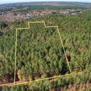 Photo #2 of 146 Cove Wood, Denton, NC 10.8 acres