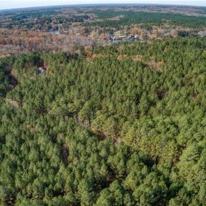 Photo #6 of 146 Cove Wood, Denton, NC 10.8 acres