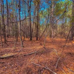 Photo #17 of 146 Cove Wood, Denton, NC 10.8 acres