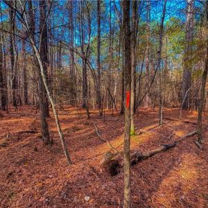 Photo #16 of 146 Cove Wood, Denton, NC 10.8 acres