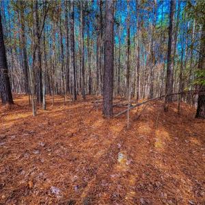 Photo #12 of 146 Cove Wood, Denton, NC 10.8 acres