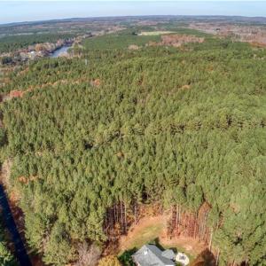 Photo #3 of 146 Cove Wood, Denton, NC 10.8 acres