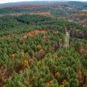 Photo #5 of 146 Cove Wood, Denton, NC 10.8 acres