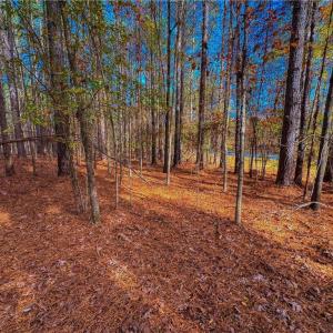 Photo #11 of 146 Cove Wood, Denton, NC 10.8 acres