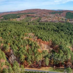 Photo #4 of 146 Cove Wood, Denton, NC 10.8 acres