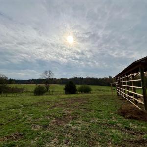 Photo #12 of 1665 Bill Lambert, Bear Creek, NC 23.1 acres